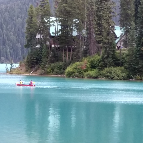 Meet your Posher, Debra - Picture 1 of 1